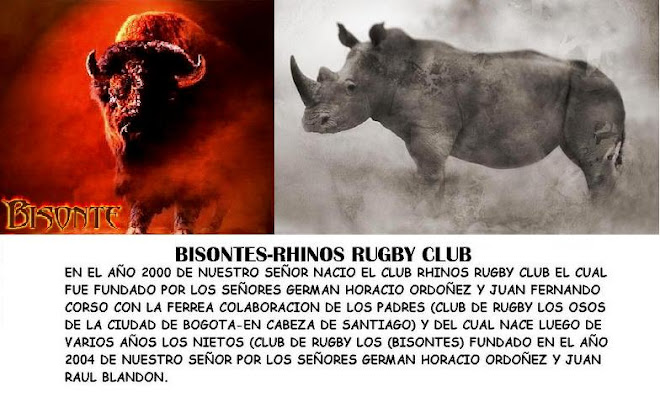 CLUB DE RUGBY BISONTES-RHINOS