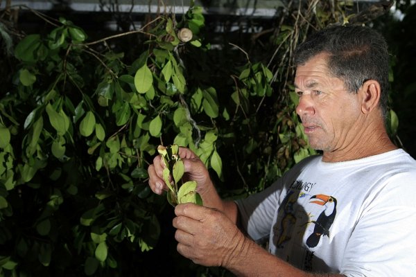 Significado de sonho namoro