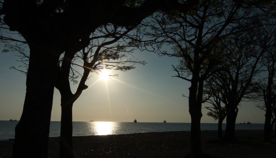 [lae_05.JPG]