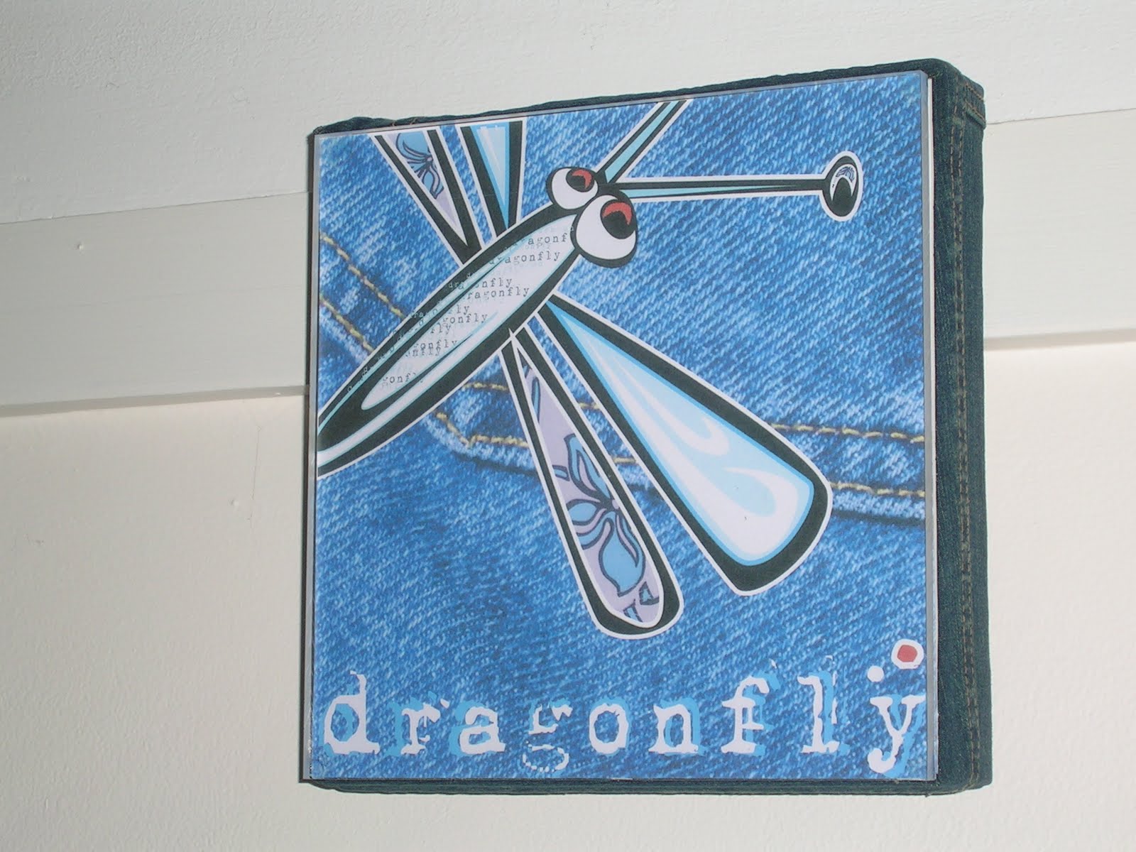 [dragonfly.JPG]