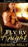 Fly By Knight