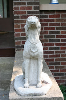 saluki