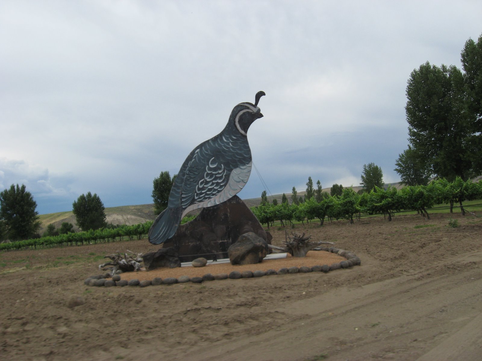 [July+4-5,2009+009.JPG]