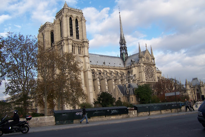 Wonderful  Notre Dame in Paris, France