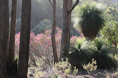 ZOHAR IN THE HILLS