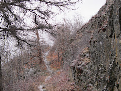 Turnagain Arm Trail