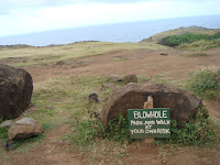 blowhole sign