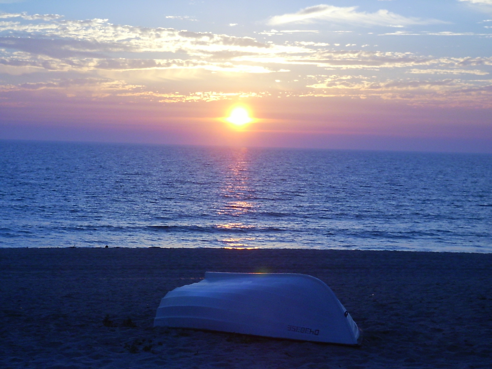 [PICT0367.JPG]