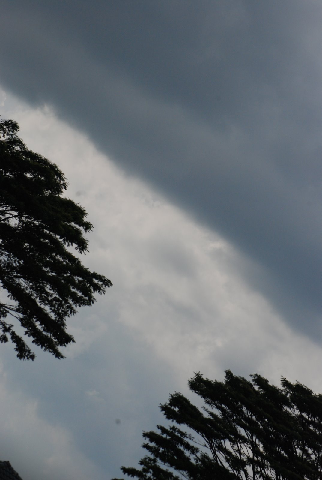 [DSC_0060.JPG]