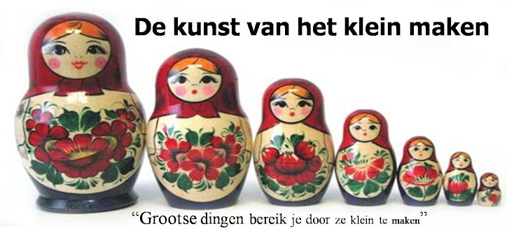 De kunst van het klein maken