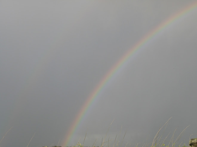 Rainbow in the Sky