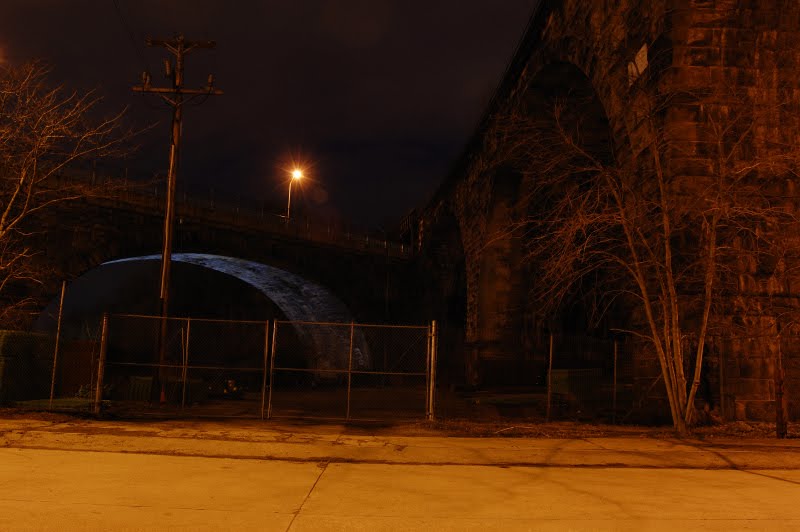 [DSC_0041.JPG]
