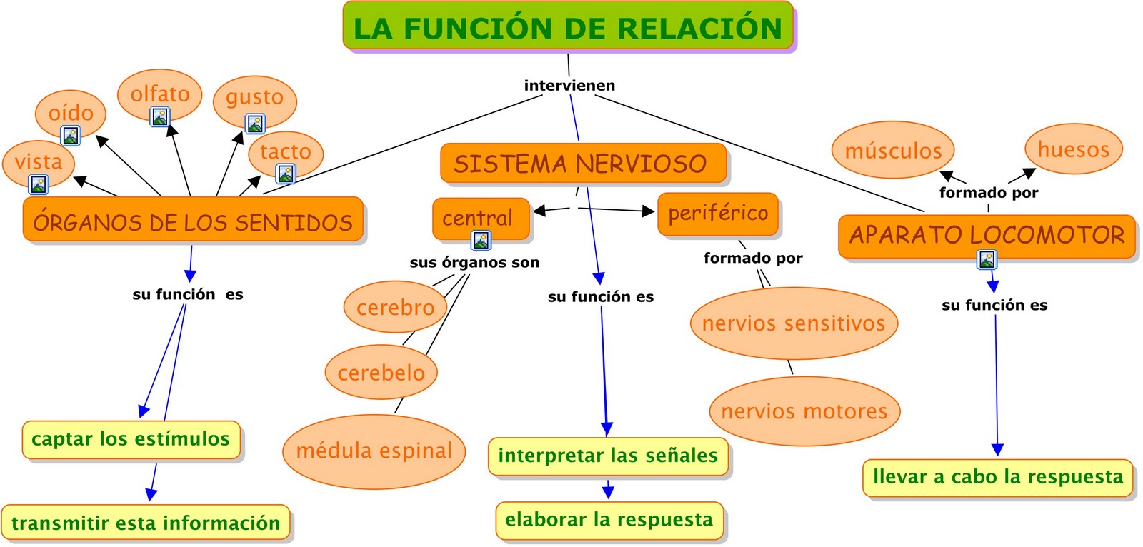 continuación tenemos el mapa conceptual de la función de relación