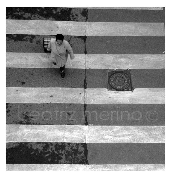 Image Result For Futuro Do Preterito Image Result For Futuro Do Preterito