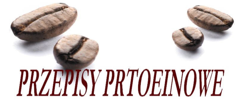 przepisy proteinowe