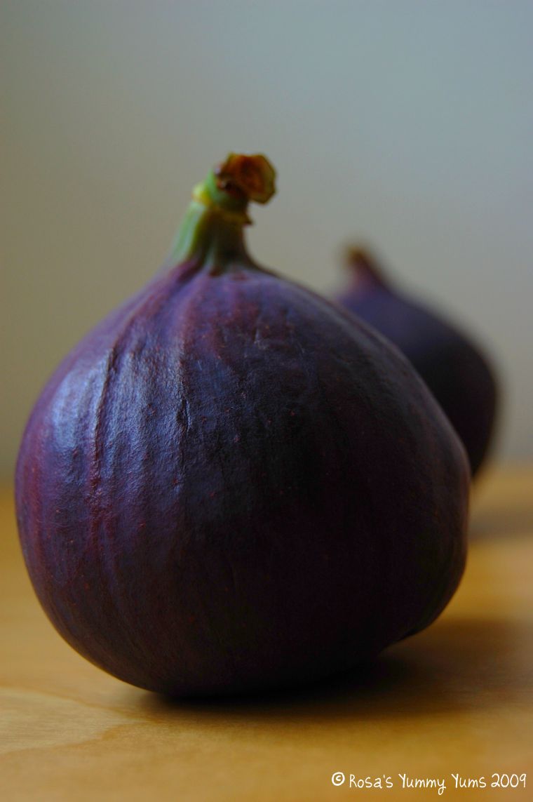 [Figs.jpg]