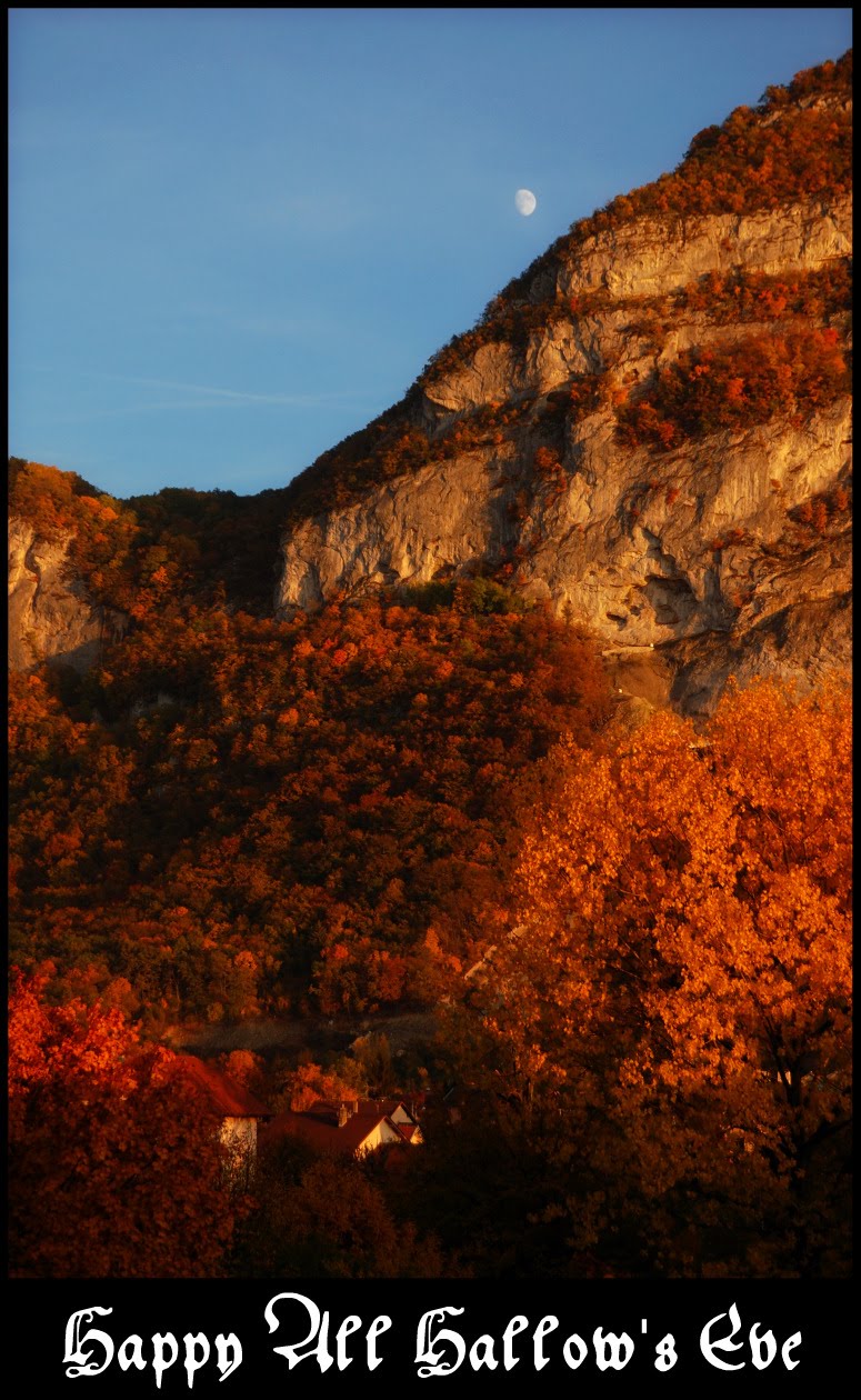 [DSC_0165.JPG]