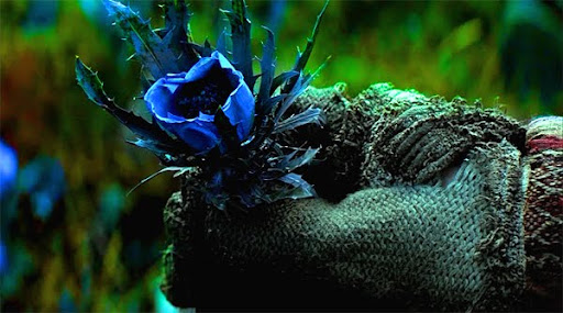A Rare Blue Flower