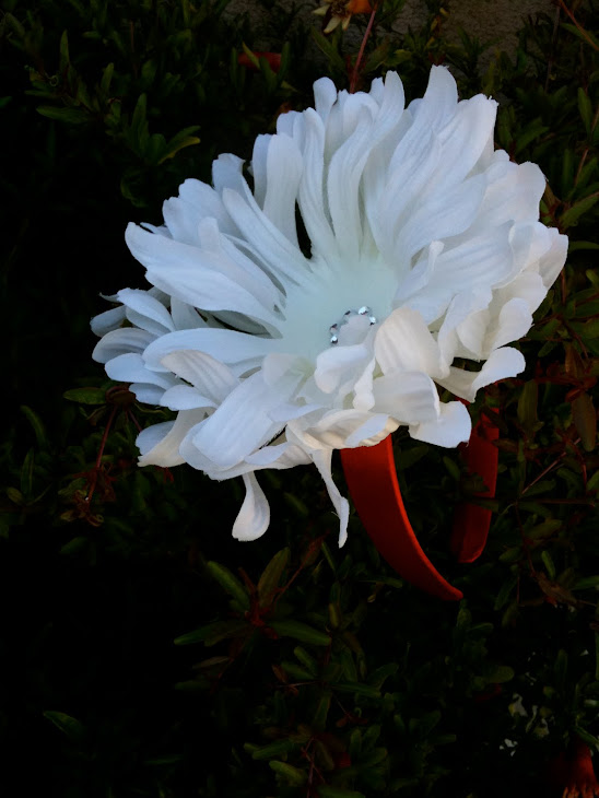 Esplendid white flower