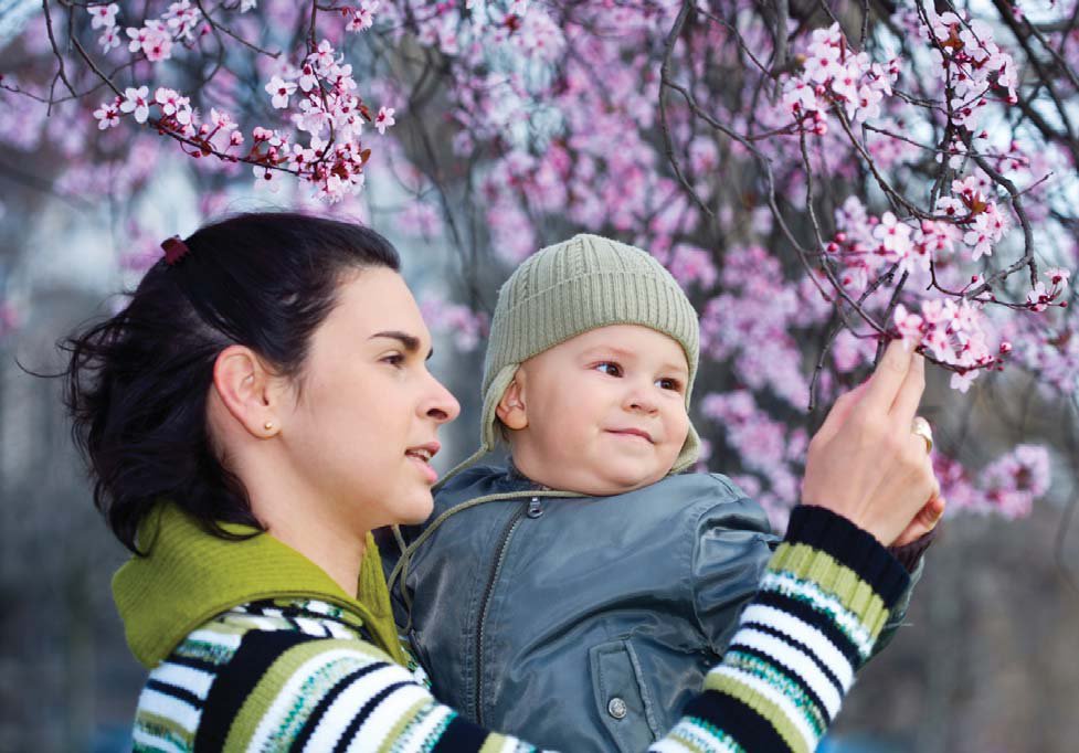 NAMC Montessori education authentic child development success looking at cherry blossoms