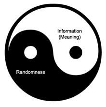 Randomness & Meaning
