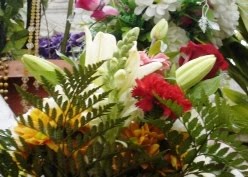 [FLORES.JPG]