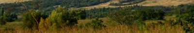Paisajismo