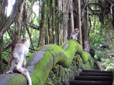 Monkeys+on+the+handrail!.JPG