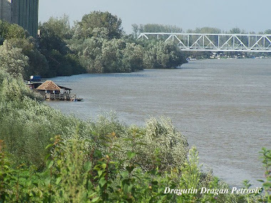 Sava kod agencije