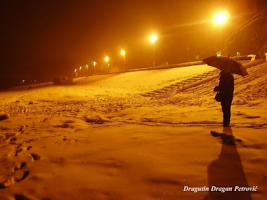 Zimska noč na obali Save