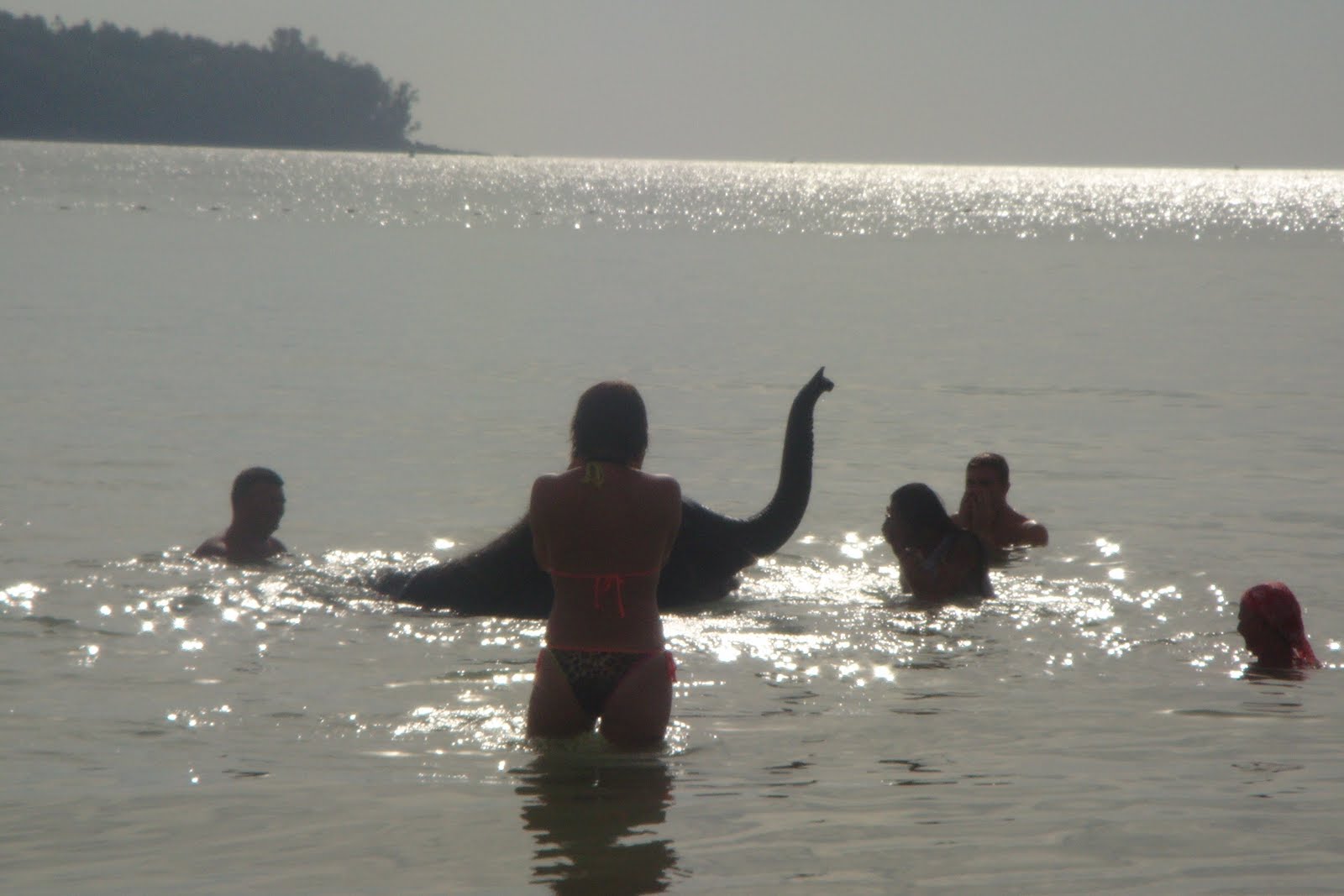 [DSC00755.JPG]