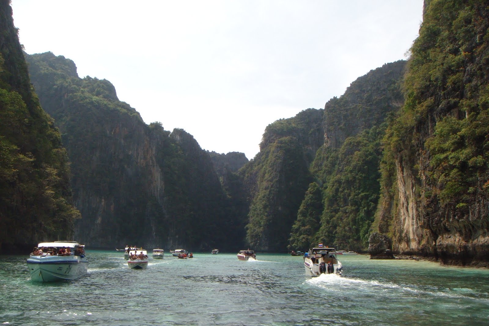 [DSC00950.JPG]