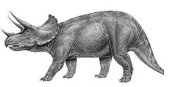 TRICÉRATOPS QUE SIGNIFICA: CARA CON TRES CUERNOS