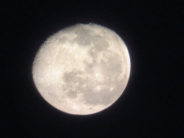 [DSCF0029.JPG]