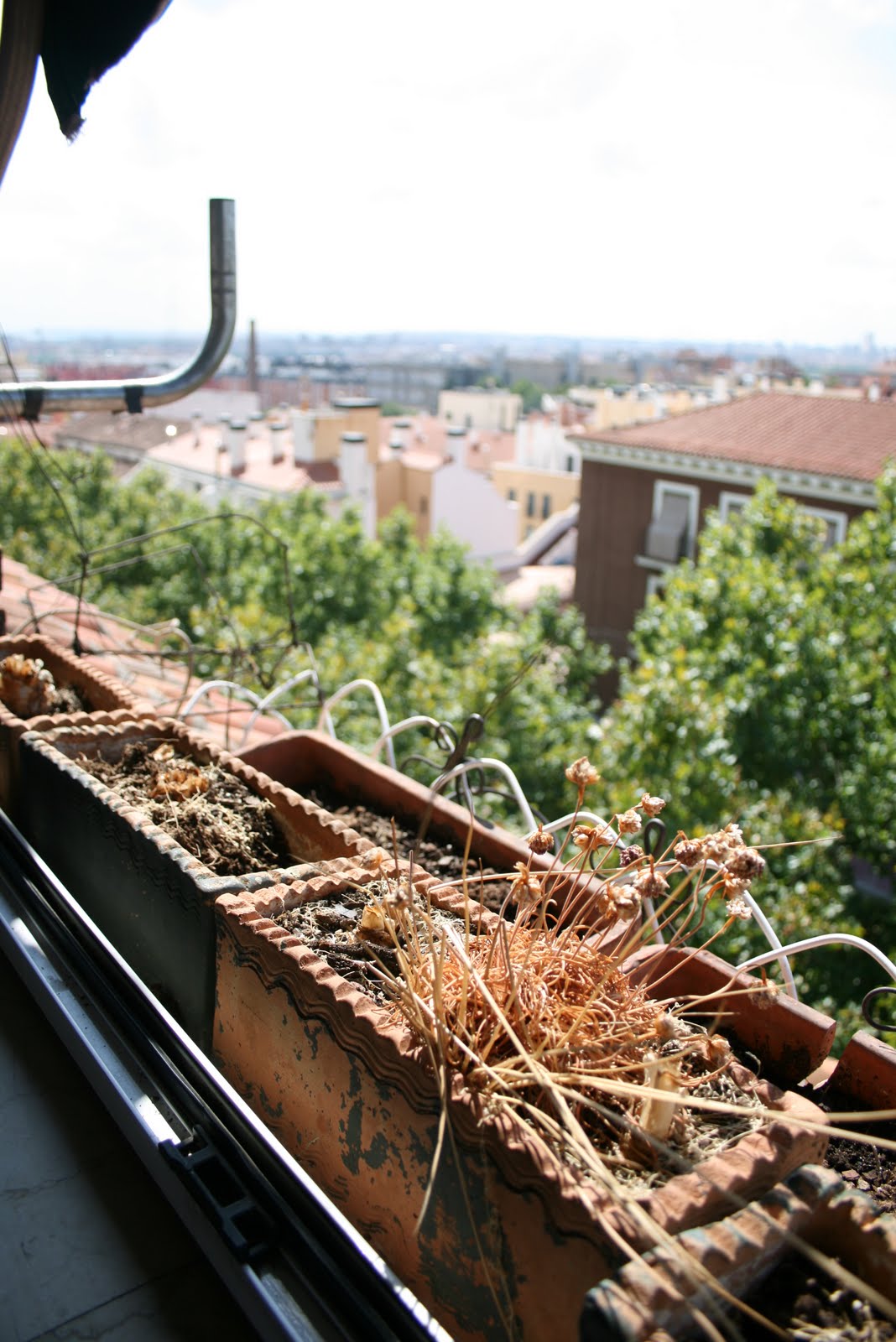 Clara stickar: september 2010