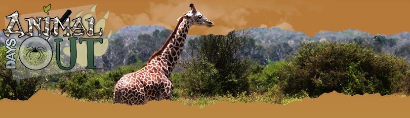 Animal Days Out Community Blog