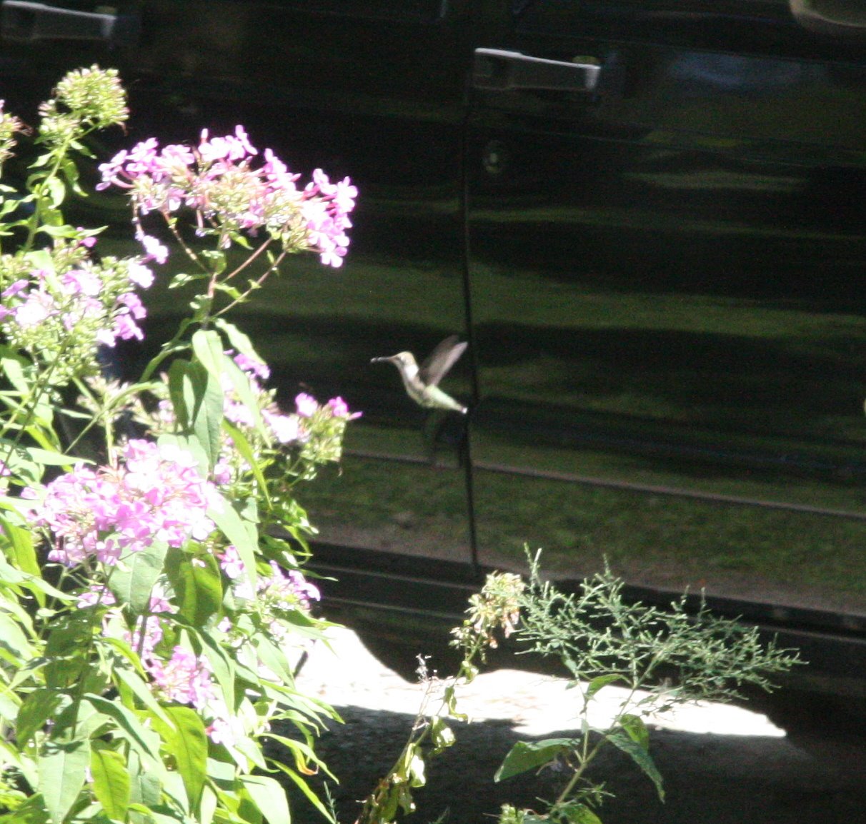 [Hummer+07.jpg]