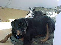Cleo & Genie