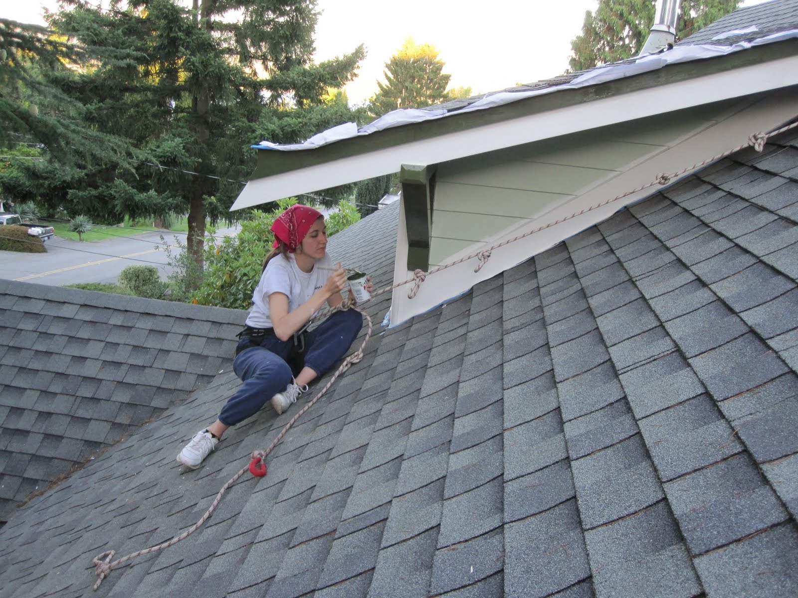 The Brown Menagerie How to paint the dormer's