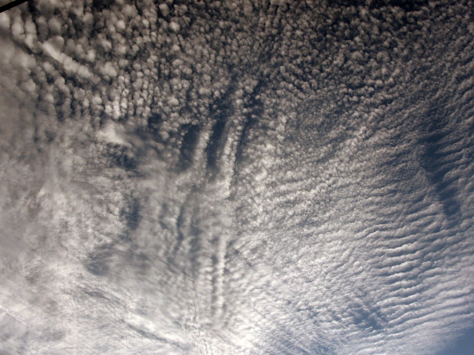 [clouds5.jpg]