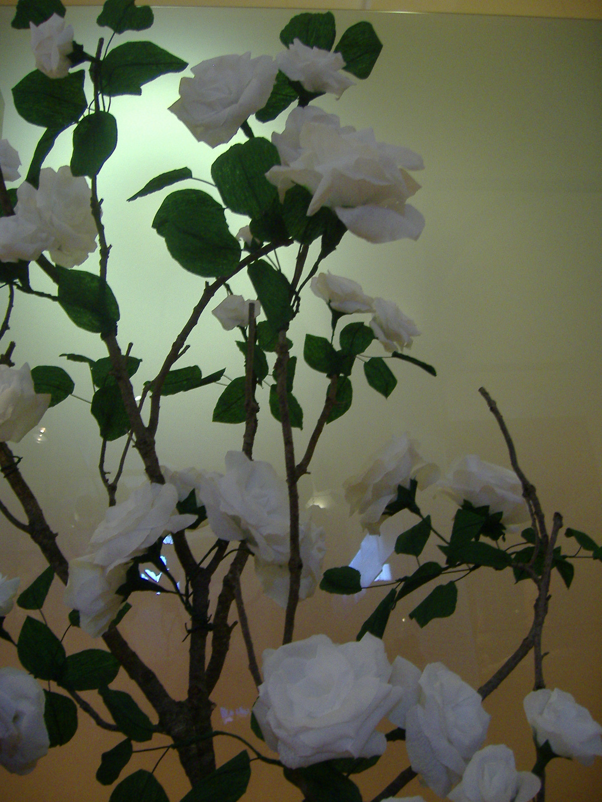 [DSCF2814.JPG]