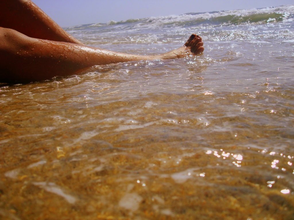 [DSC09154.JPG]