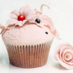 The Cupcake Blog