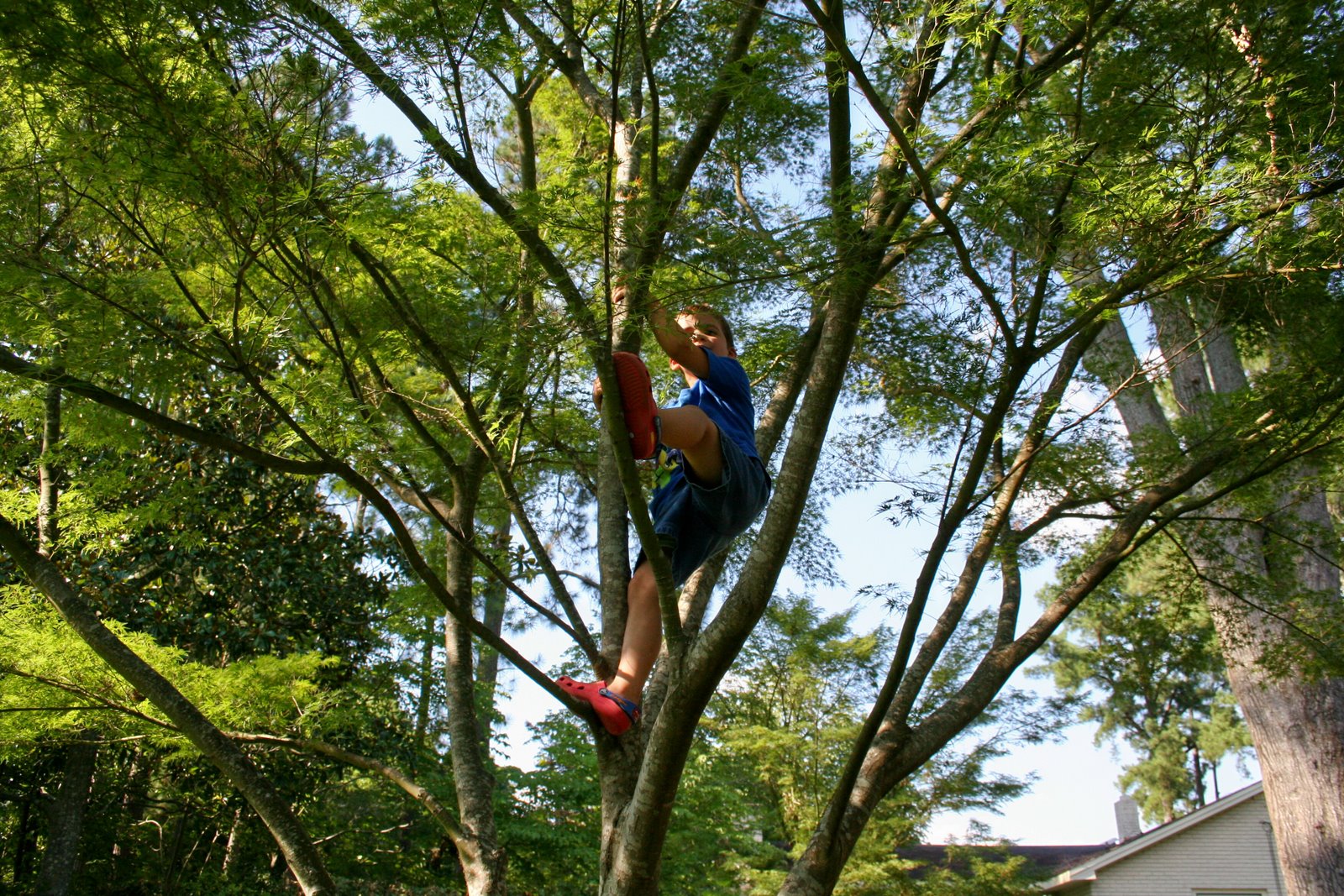 [IMG_4090.JPG]