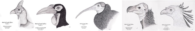 Birds of South Africa series.