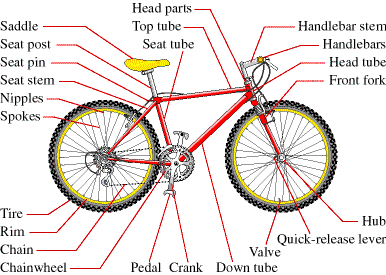 Partes de la Bicicleta