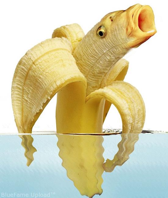 [bananafish.jpg]