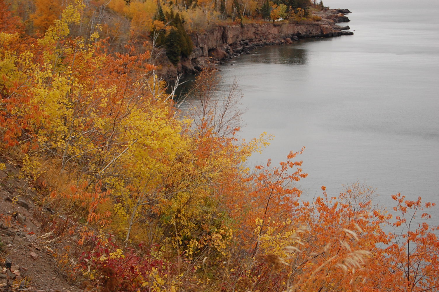 [DSC_0544-1.JPG]