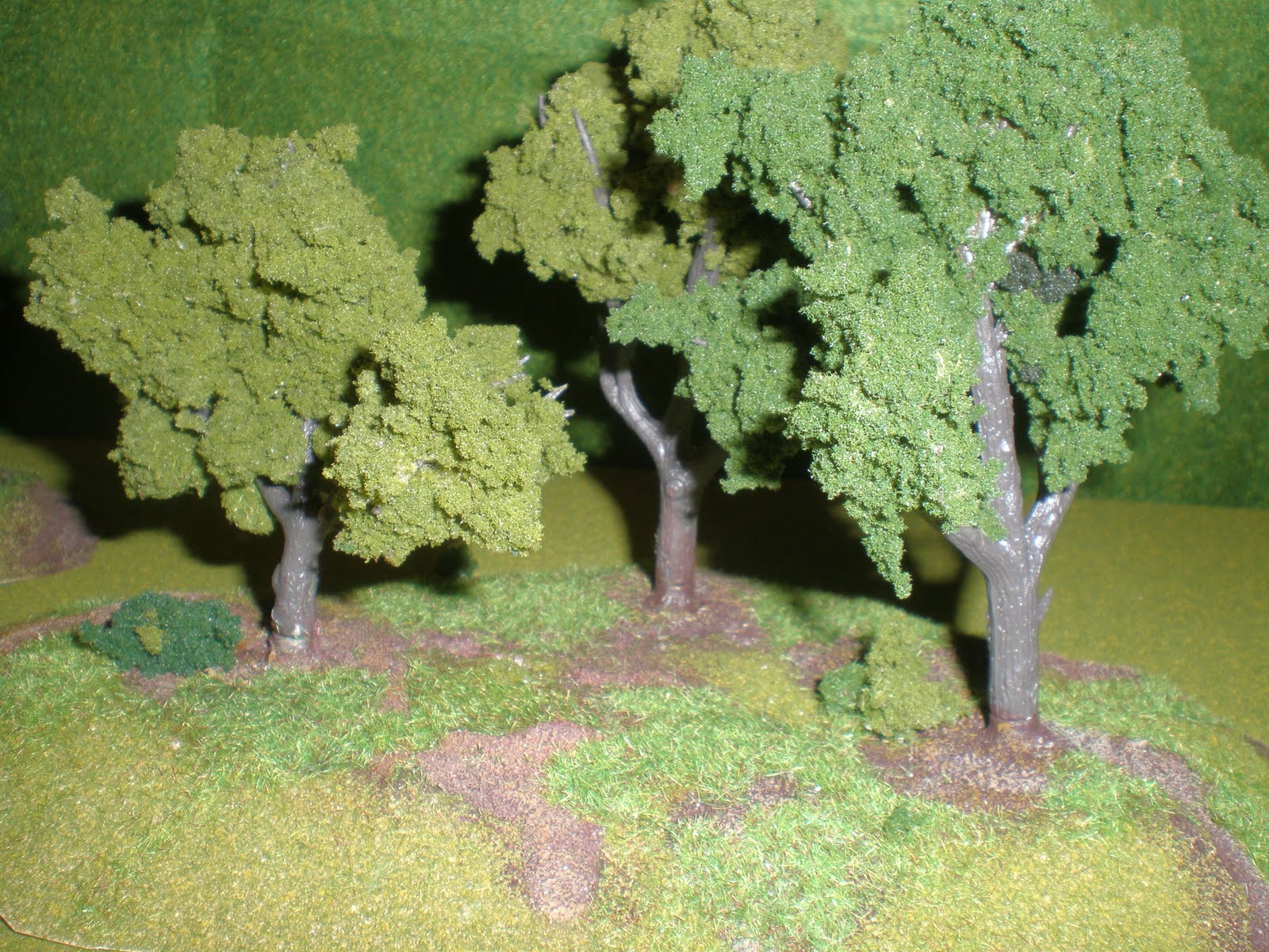 [Trees+flash+1.JPG]