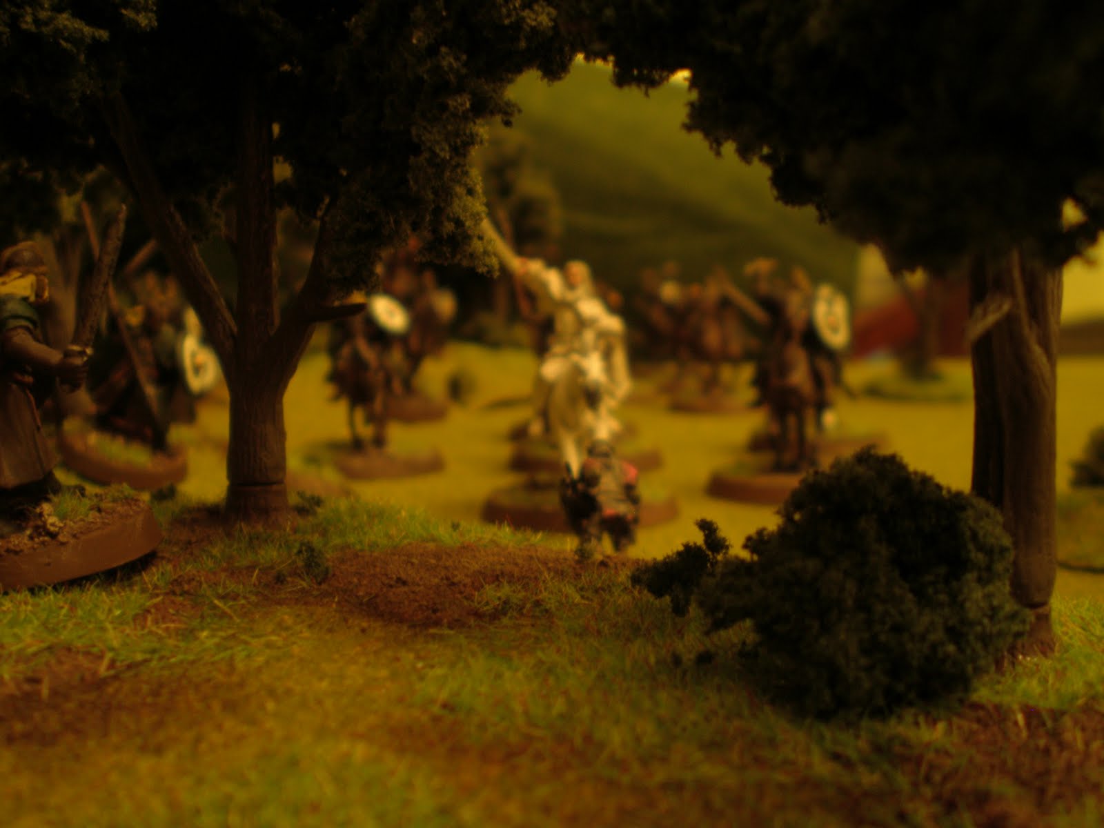 [between+trees.JPG]